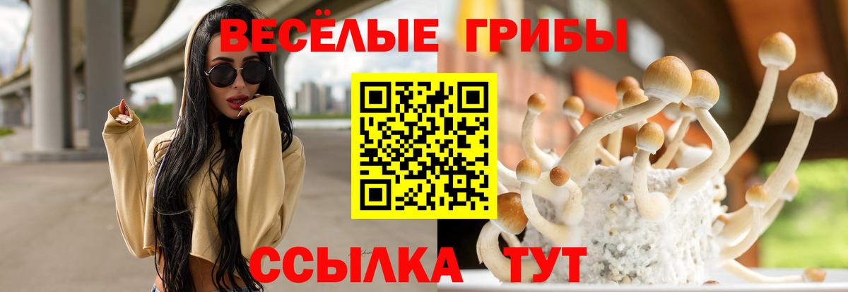 Заволжье  Галлюциногенные грибы мухоморы  Галлюциногенные грибы прущие грибы  Вход с VPN 